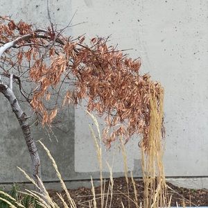 Meet your Posher, Harrison